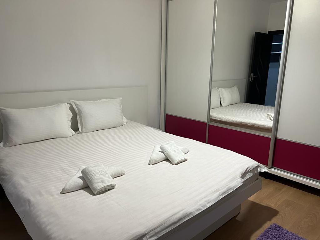 Tudor Central Apartment Mihai Viteazu Square Kolozsvár Kültér fotó
